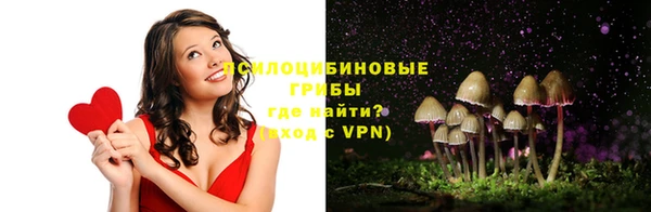 хмурый Алзамай