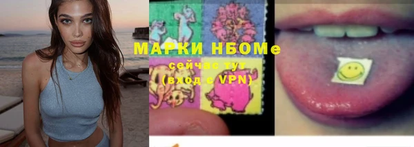 хмурый Алзамай