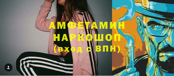 хмурый Алексин
