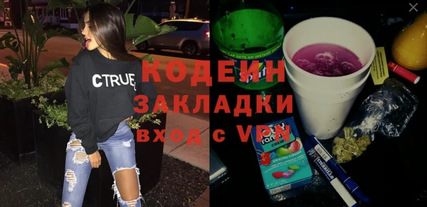хмурый Алзамай