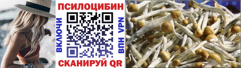 мега онион  Андреаполь  Псилоцибиновые грибы мухоморы 